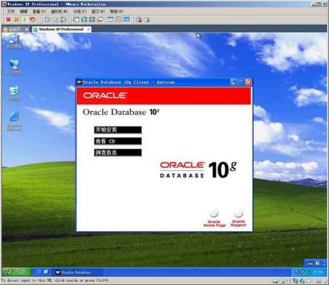oracle用哪个客户端(现在oracle主流用哪个版本)-图3 oracle用哪个客户端(现在oracle主流用哪个版本)-图3