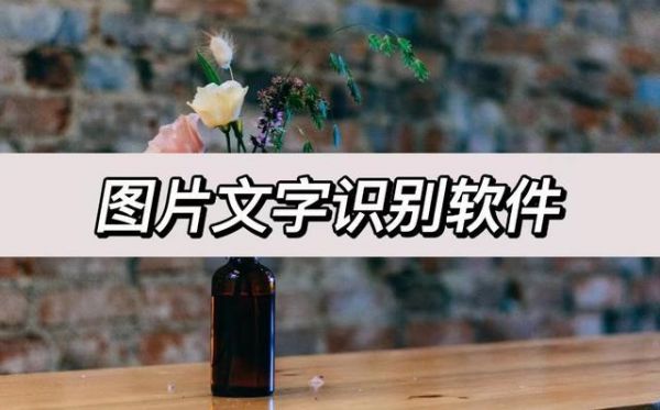 拍照能识别文字的软件哪个好(拍照识别文字的软件哪个好用免费)-图2 拍照能识别文字的软件哪个好(拍照识别文字的软件哪个好用免费)-图2