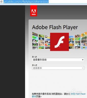 adobeflashplayer哪个是用来玩枪战的(adobeflashplayerforie)-图1 adobeflashplayer哪个是用来玩枪战的(adobeflashplayerforie)-图1