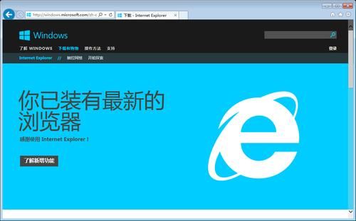 ie哪个版本最好用(ie哪个版本最好用win7)-图2 ie哪个版本最好用(ie哪个版本最好用win7)-图2