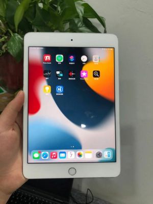 mini4mini2买哪个(mini2和4区别)-图3 mini4mini2买哪个(mini2和4区别)-图3
