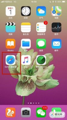 iphone上哪个浏览器（苹果用哪个浏览器）