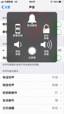 苹果手机放器音乐没有声音需要去除哪个文件(苹果自带音乐播放器没声音)-图2 苹果手机放器音乐没有声音需要去除哪个文件(苹果自带音乐播放器没声音)-图2
