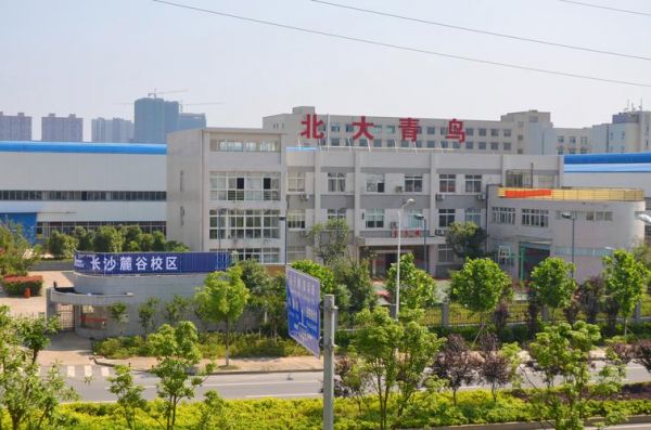 北京北大青鸟网站哪个校区好(北京北大青鸟哪个校区好一些)-图3 北京北大青鸟网站哪个校区好(北京北大青鸟哪个校区好一些)-图3