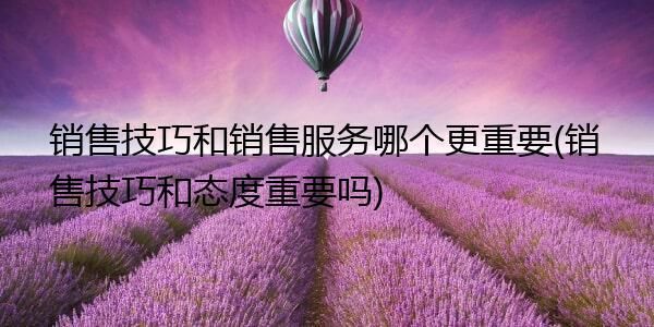 技术销售哪个更重要（技术和销售）-图1