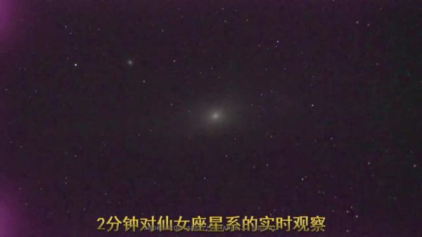 Nexus仙女座哪个种族(仙女座在哪)-图3 Nexus仙女座哪个种族(仙女座在哪)-图3