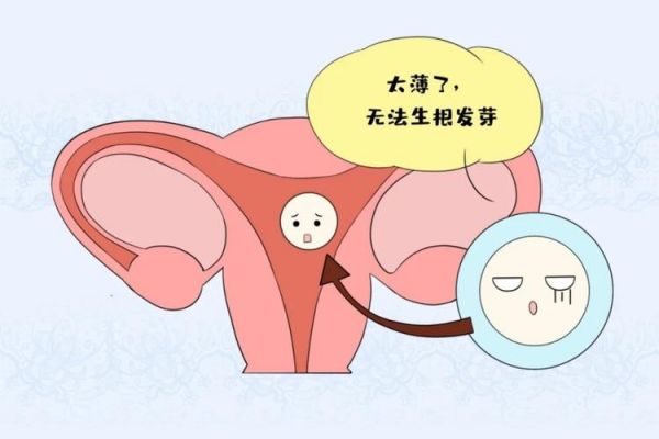 内膜6B和6C哪个好(内膜6ab是什么意思)-图3 内膜6B和6C哪个好(内膜6ab是什么意思)-图3