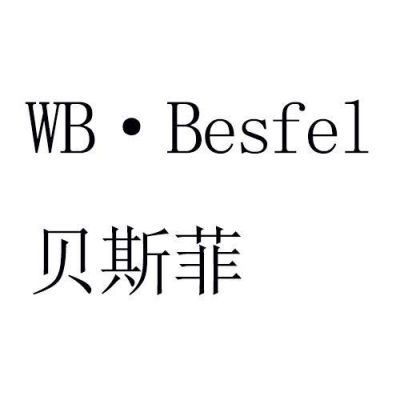 besf是哪个品牌女装的简单介绍-图3