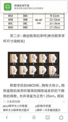 hav.so中哪个胸最大（胸最大的型号是多少）