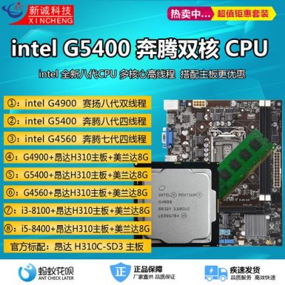 g4560内存条装哪个好（g4560 ddr）