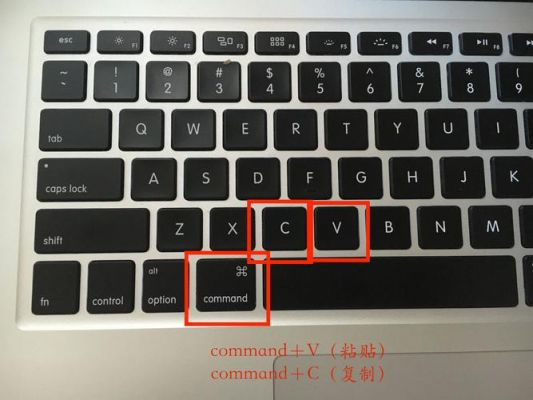 电脑键盘复制是哪个键（电脑键盘上的复制是哪个键）