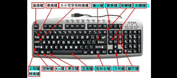 键盘上跳格健是哪个（电脑键盘上跳格键怎么用）-图2