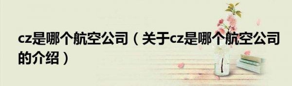 c是哪个公司的(cz是哪个公司)-图3 c是哪个公司的(cz是哪个公司)-图3