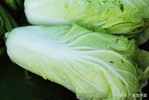 大白菜和深度哪个好用吗(大白菜种深了怎么办)-图3 大白菜和深度哪个好用吗(大白菜种深了怎么办)-图3