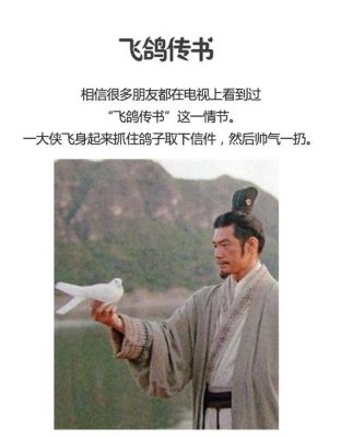 飞秋和飞鸽传书哪个好(比飞鸽传书好用)-图3 飞秋和飞鸽传书哪个好(比飞鸽传书好用)-图3