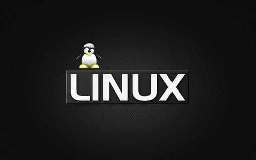 开发用哪个linux（适合开发者的linux）-图2