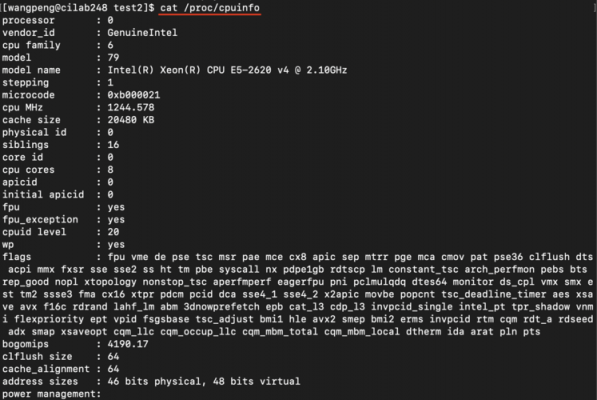 linux查看进程使用哪个cpu(linux进程号是哪个)-图3 linux查看进程使用哪个cpu(linux进程号是哪个)-图3
