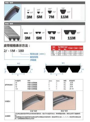 7m和17dm哪个大（7m是多大）