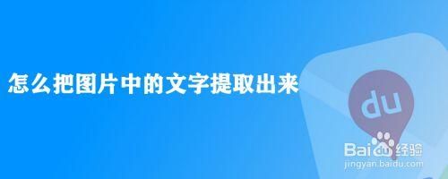 网页文字提取软件哪个好(网页文字提取软件哪个好用点)-图2 网页文字提取软件哪个好(网页文字提取软件哪个好用点)-图2