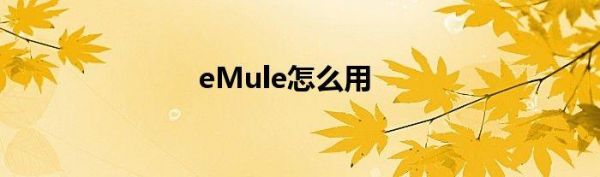 emulex哪个国家的（emule好用吗）