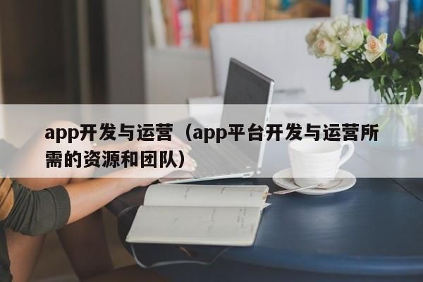 开发和运营哪个好（开发和运营哪个好一点）