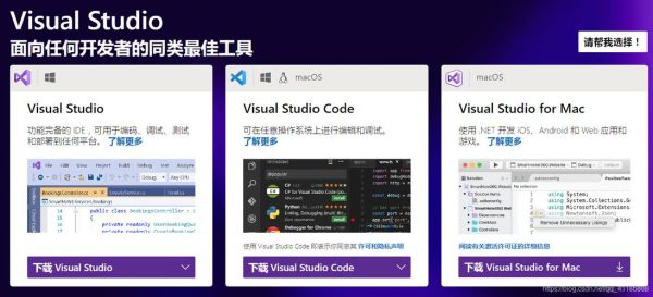 vs的哪个版本好装（vs哪个版本比较好）