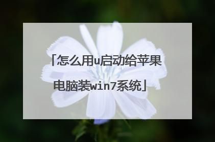 苹果安装系统选u启是哪个（苹果系统怎么选择u盘启动）