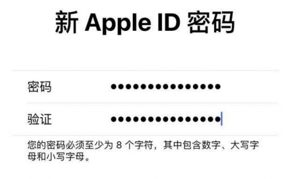 appleid是哪个(iphoneid是什么)-图2 appleid是哪个(iphoneid是什么)-图2