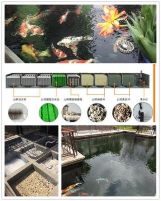 净水设备安装的前景（鱼池净水设备安装方案）