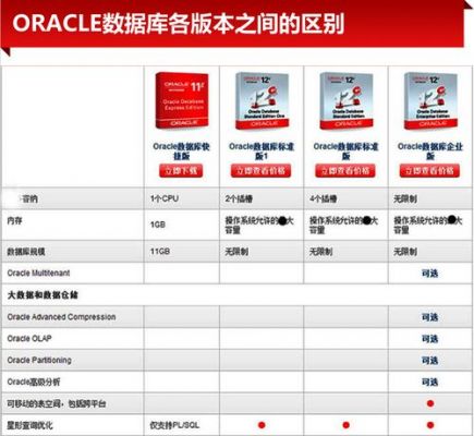 oracle数据库下载哪个（oracle数据库用什么软件）