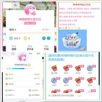 b站充值设备(b站充值账号)-图3 b站充值设备(b站充值账号)-图3