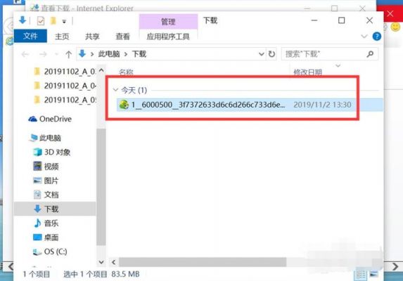 ie浏览器用户信息在哪个文件夹(ie浏览器下载官网)-图2 ie浏览器用户信息在哪个文件夹(ie浏览器下载官网)-图2