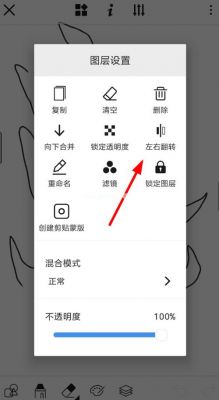 哪个软件有(哪个软件有镜像翻转功能)-图1 哪个软件有(哪个软件有镜像翻转功能)-图1