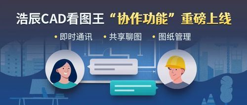 看图软件谷歌浏览器和看图王哪个好（看图软件cad看图王）