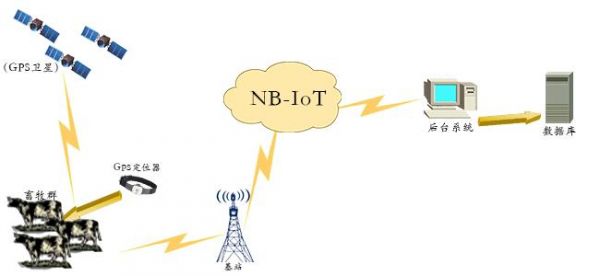 nb网络是怎么组网的(nb网络是怎么组网的呀)-图1 nb网络是怎么组网的(nb网络是怎么组网的呀)-图1