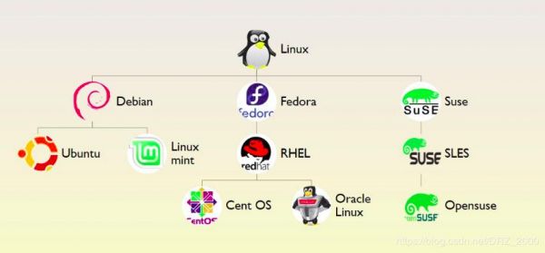 linux哪些设备（linux系统的设备有哪几种类型）-图3