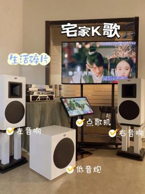 家里k歌需什么设备(家里k歌用什么音响合适)-图1 家里k歌需什么设备(家里k歌用什么音响合适)-图1