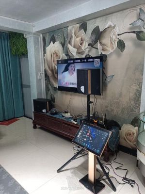 家里k歌需什么设备(家里k歌用什么音响合适)-图3 家里k歌需什么设备(家里k歌用什么音响合适)-图3