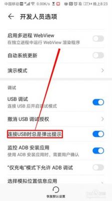 手机usb从设备(手机usb设备怎么弹出)-图2 手机usb从设备(手机usb设备怎么弹出)-图2