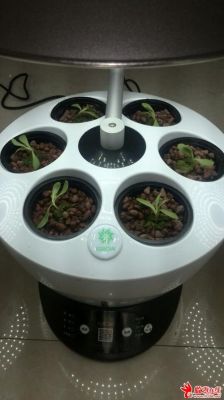 植物生长设备（igrow全自动植物生长机）