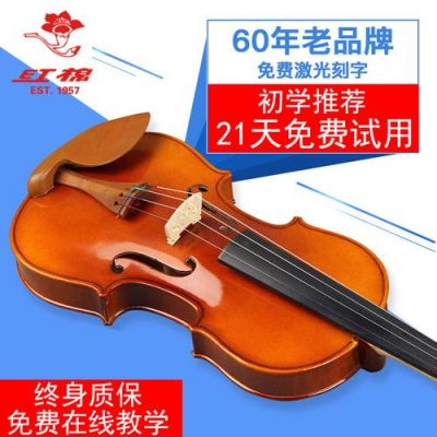 小提琴v01和v02选哪个（小提琴v008是什么意思）-图3