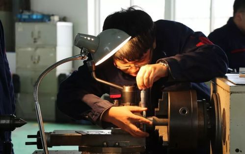 设备专业语录(设备相关专业都有哪些)-图3 设备专业语录(设备相关专业都有哪些)-图3