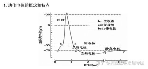 怎么判断电位正负（怎么判断电位正负极）