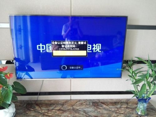 海信电视设备认证失败（海信电视身份验证失败）-图1