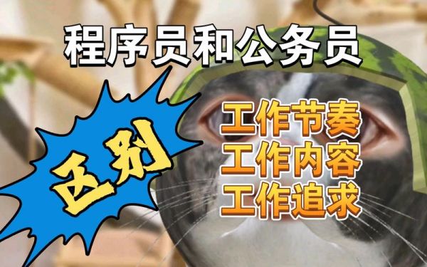 程序员和公务员哪个好(程序员和公务员哪个好找对象)-图2 程序员和公务员哪个好(程序员和公务员哪个好找对象)-图2