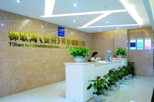 贵州梯联网设备样品（梯联网贵州科技有限公司）