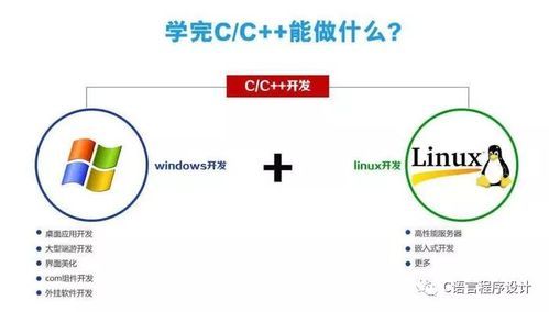 c与c学哪个(c和c++学哪个)-图2 c与c学哪个(c和c++学哪个)-图2
