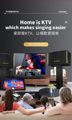 家庭k歌设备全套(家庭唱k设备)-图3 家庭k歌设备全套(家庭唱k设备)-图3