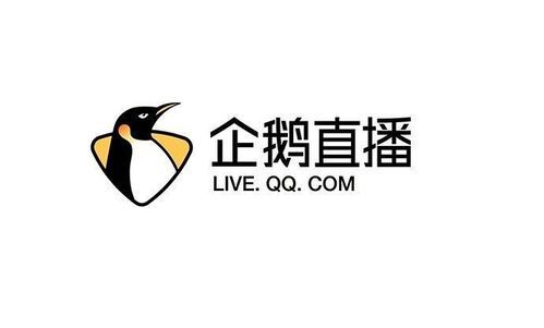 企鹅平台跟头条哪个好（企鹅直播是哪个平台）