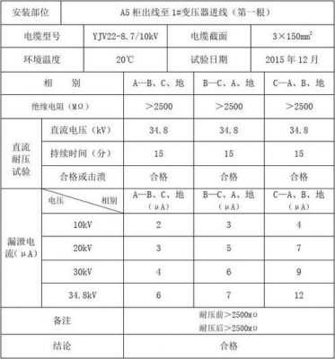 电缆标准性预防性实验(电缆预防性试验的合格标准是)-图1 电缆标准性预防性实验(电缆预防性试验的合格标准是)-图1